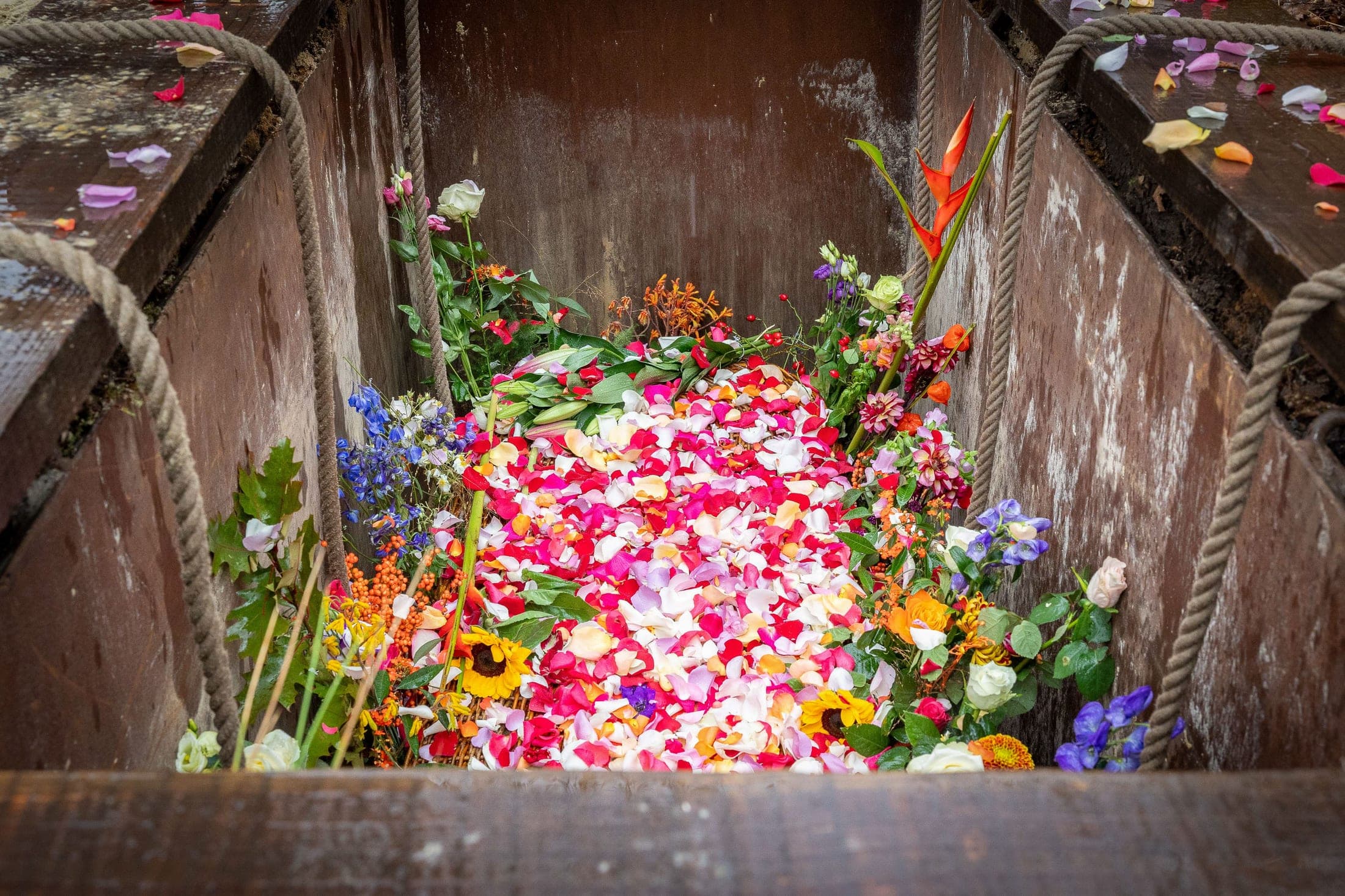 Bloemen in de kist